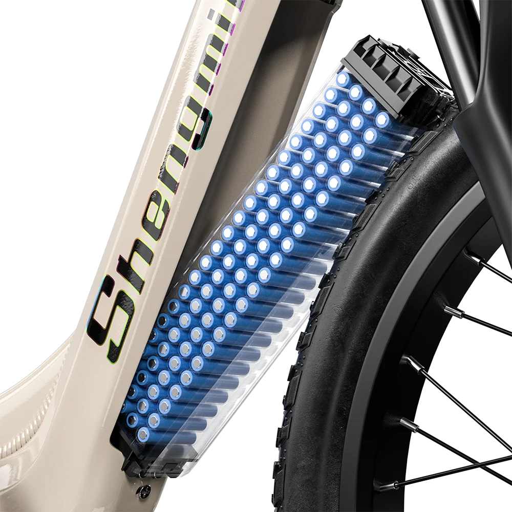 2000W Electric Fat Bike