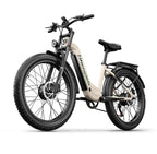 2000W Electric Fat Bike